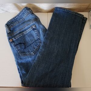 Classic Blue Distressed Jeans